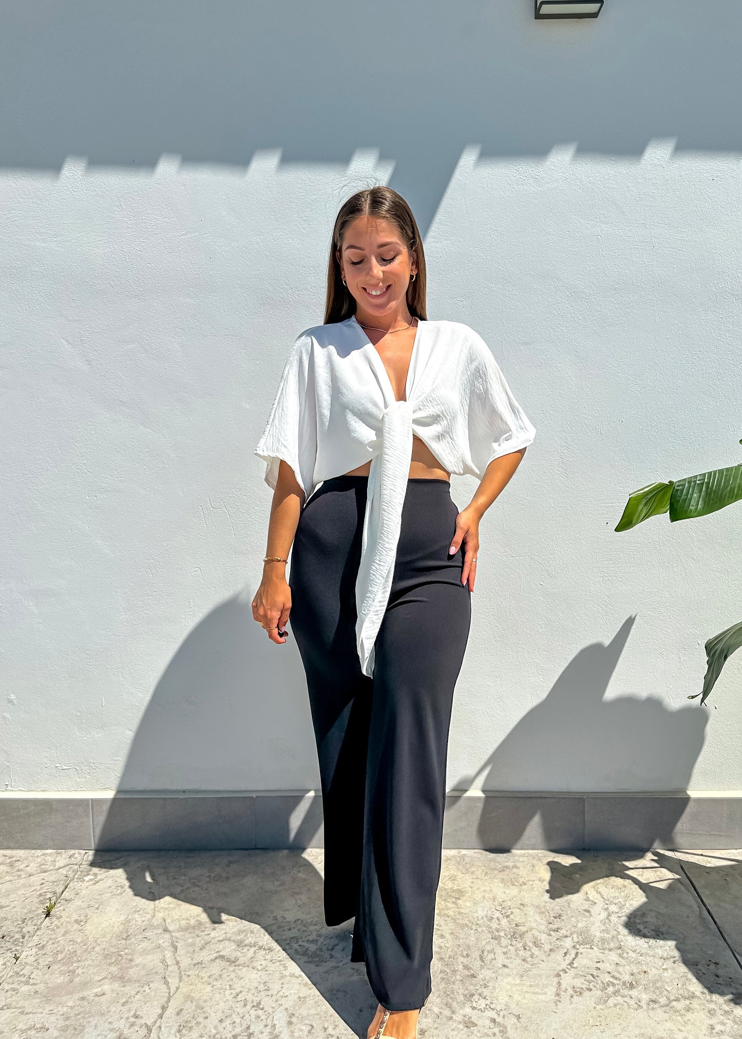 Top Ibiza